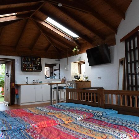 Finca Casa Madera 1 Icod de los Vinos Kültér fotó