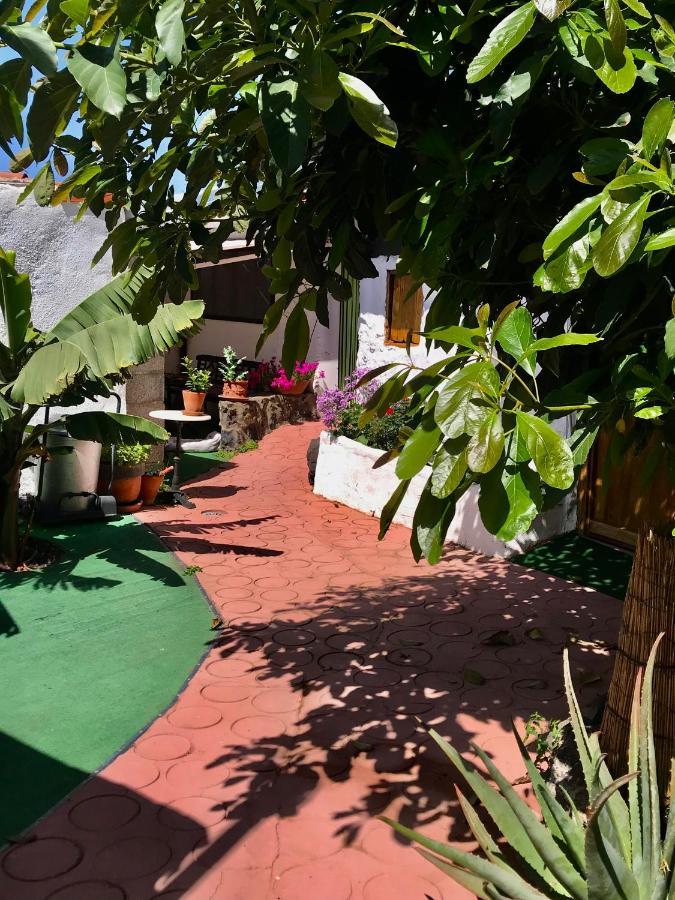 Finca Casa Madera 1 Icod de los Vinos Kültér fotó
