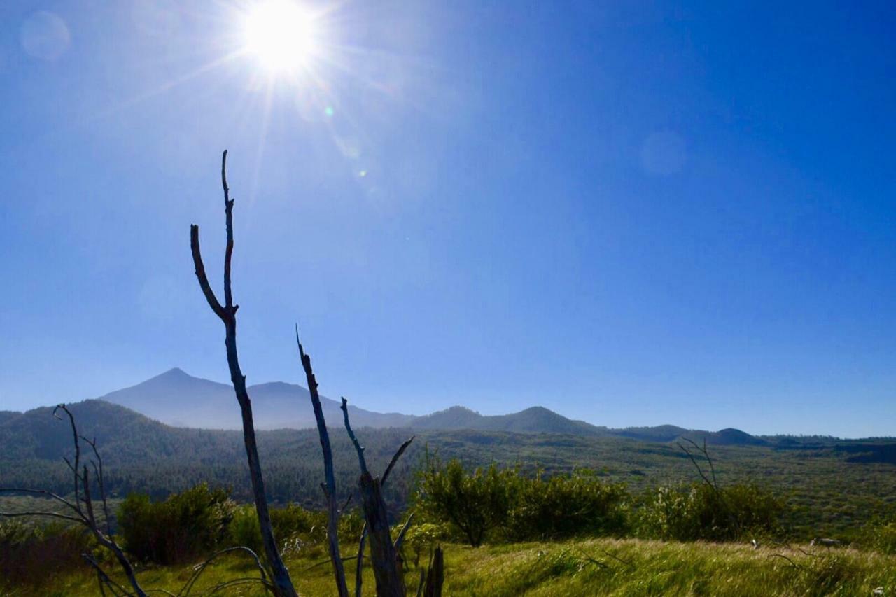 Finca Casa Madera 1 Icod de los Vinos Kültér fotó